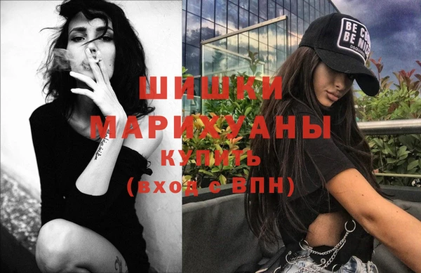 apvp Алзамай